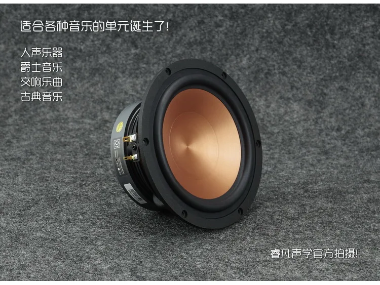 1 Pieces AIRS FR-65YL-M/FR-65YL-L 6.5\'\' Midrange Speaker Driver Ceramics Clad Aluminum Cone Casting Chassis 4/8ohm 100W Round