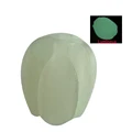 Luminous 2pcs