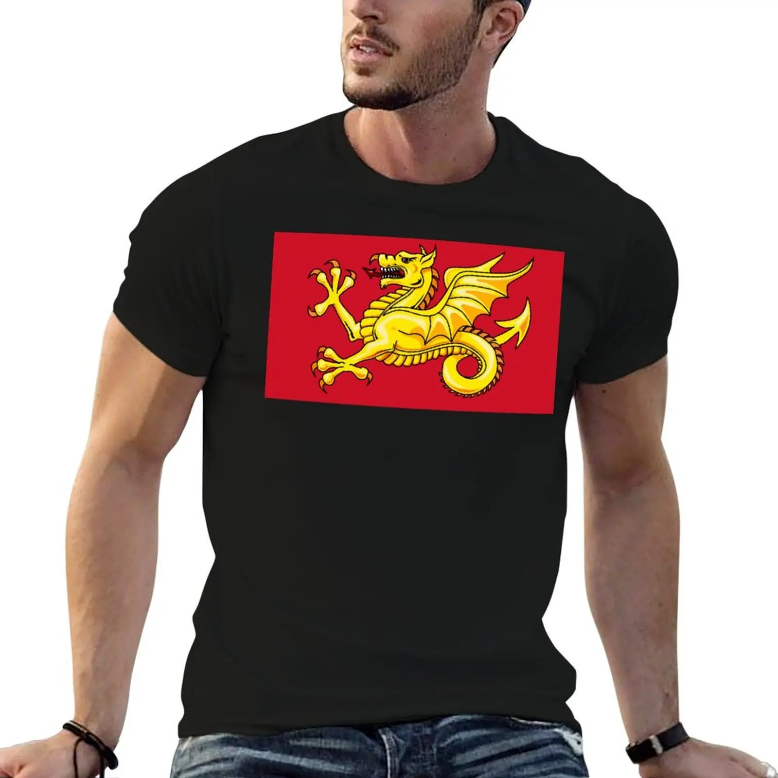 Футболка FLAG OF WESSEX - WYVERN, быстросохнущая, для бега, с короткими рукавами