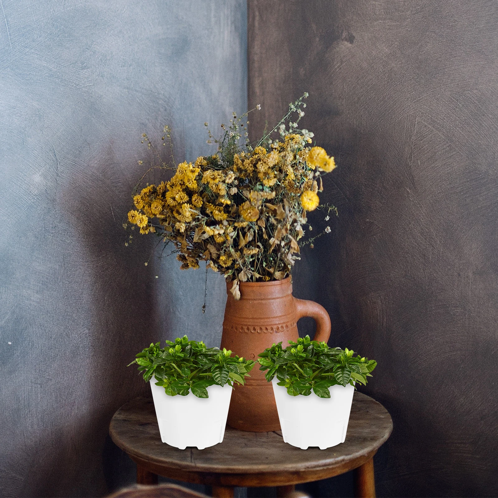 

Plant Nursery Pots Root Control and Breathable Square Basin Plastic Flowers for Plants