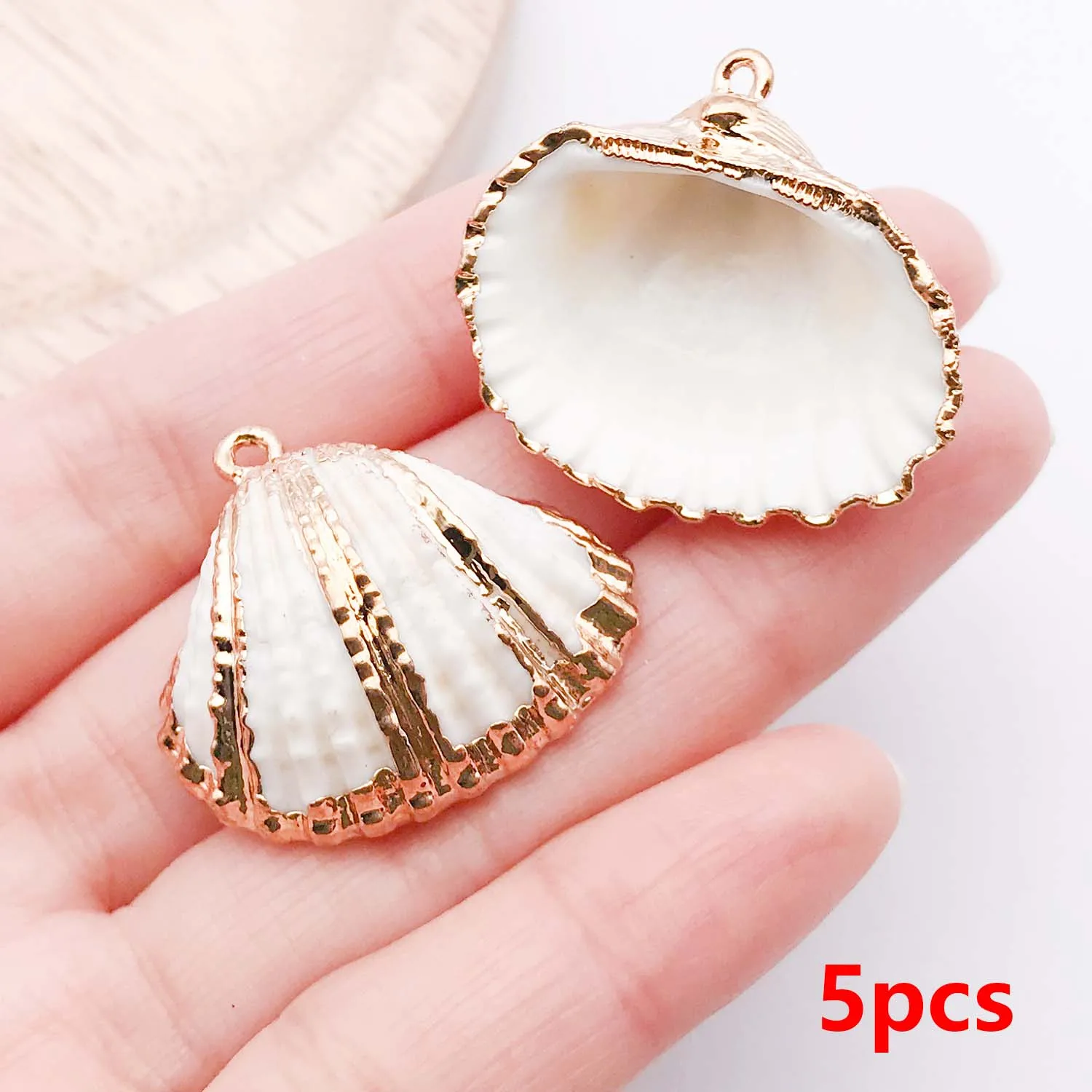 5pcs Natural Seashell Charms for DIY Jewelry Making