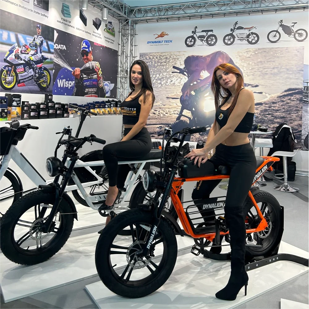 

Новейший дизайн, дешевая цена, 48 В, алюминиевый сплав, ретро Ebike Tire Mountain
