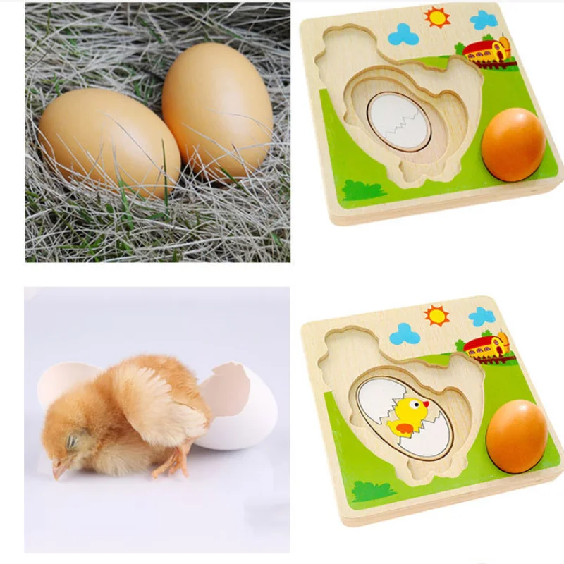 Wood 3D Puzzle Chick Grow Hens Laying Eggs Process Jigsaw Learning Education Montessori Toys