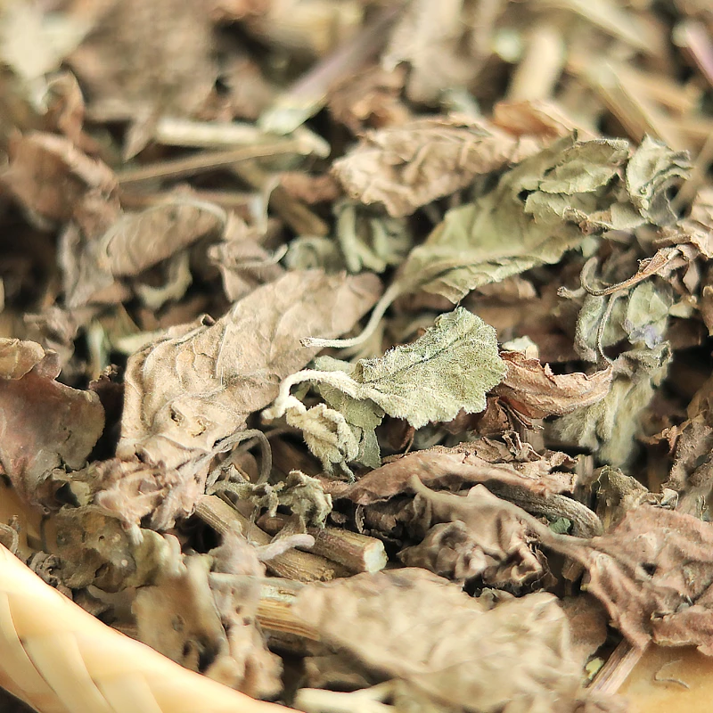 ใบแพทชูลี่แห้ง