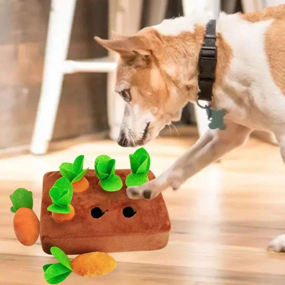 Hot Pulling Radish Garden Parent-child Interaction Toys Child Educational Toys Pet Dog Chew Toy Pull Up Carrots Plush Carrot Toy