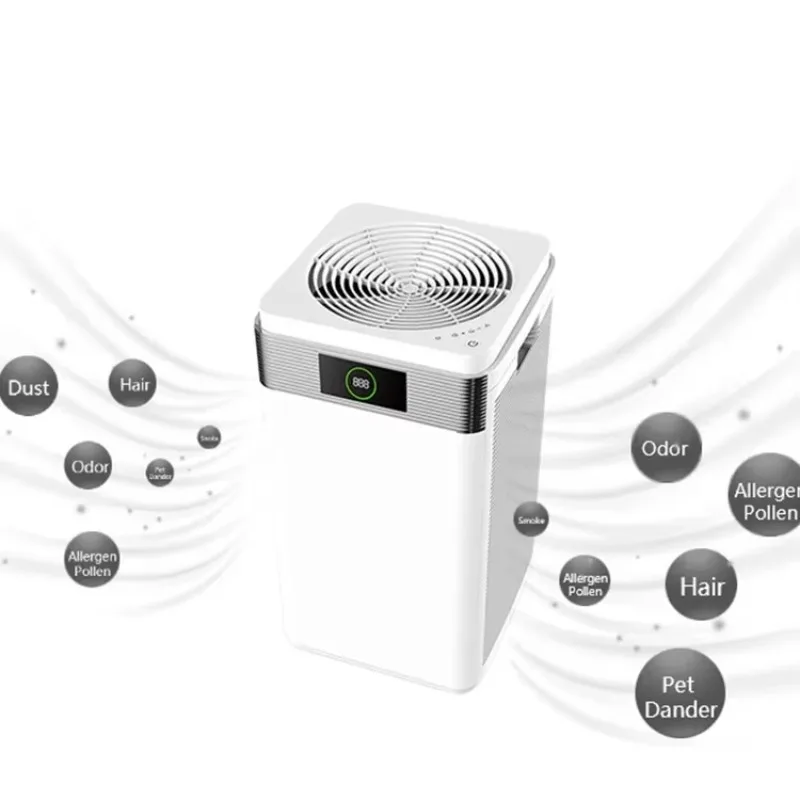 2025/Hotel Air Puri… - image