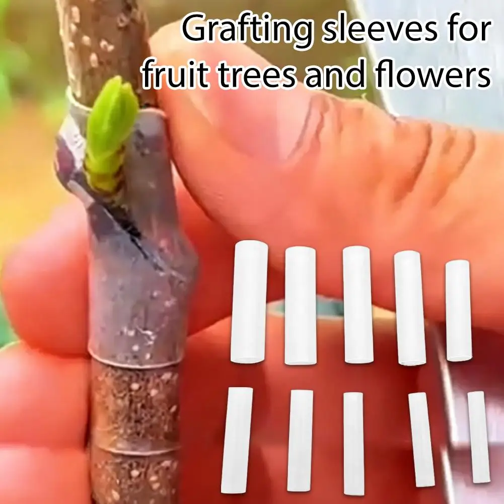 50Pcs/set Gardening Special Fruit Tree And Flower Grafting Sleeve Nursery Plants Seedlings Vine Floristry Tomato Grafting Suppli