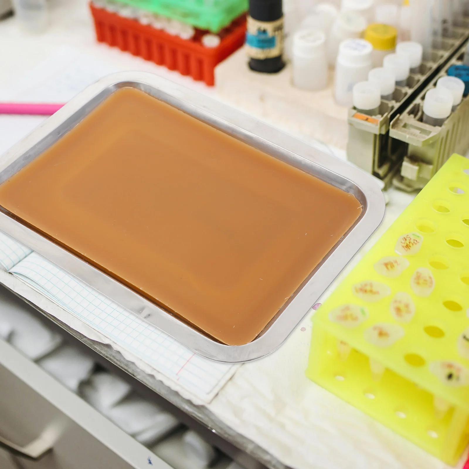 Stainless Dissection Tray 18x25cm with White Wax Layer Ideal for Biology Experiments School Lab Equipment Educational Tool