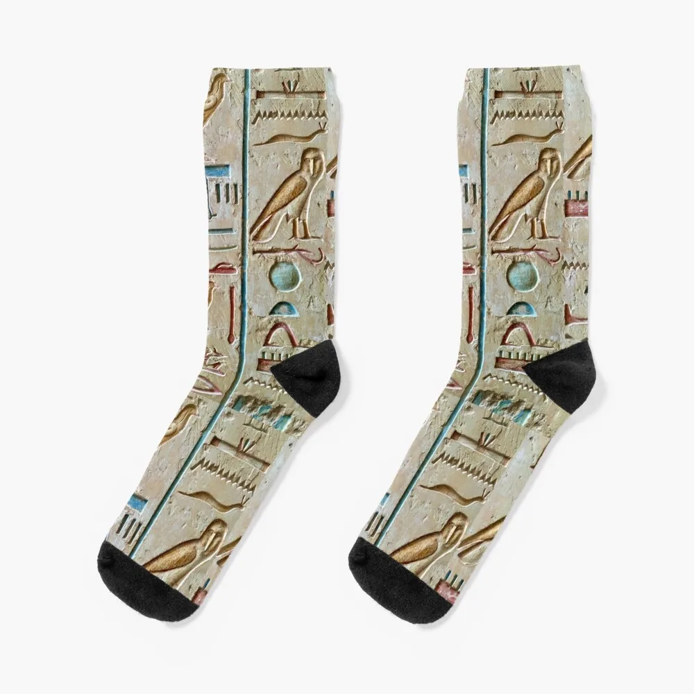 Scripture from Ancient Egypt Socks luxe funny gifts Designer Man Socks Women's