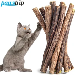 10 Stks/partij Kattenkattenkruid Speelgoed Natuurlijke Matatabi Sticks Voor Katten Tanden Poetsstokjes Kat Verlichten Verveling Snacks Dierbenodigdheden