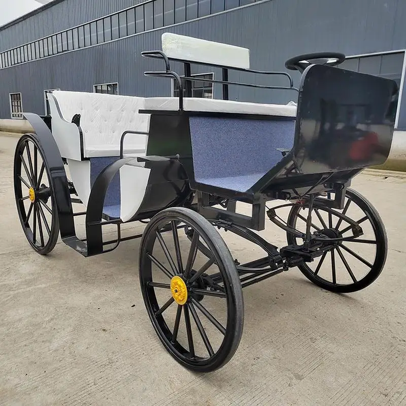 Electric carriage wind sightseeing double row six seats, scenic wrought iron carriage sightseeing four-wheeler