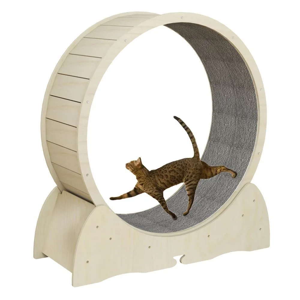 

Manufacturer Wholesale Cat Toys Circle Track Interactive Pet Tread Exercise Running Wheel Cat Climbing Frame Cat Treadmill