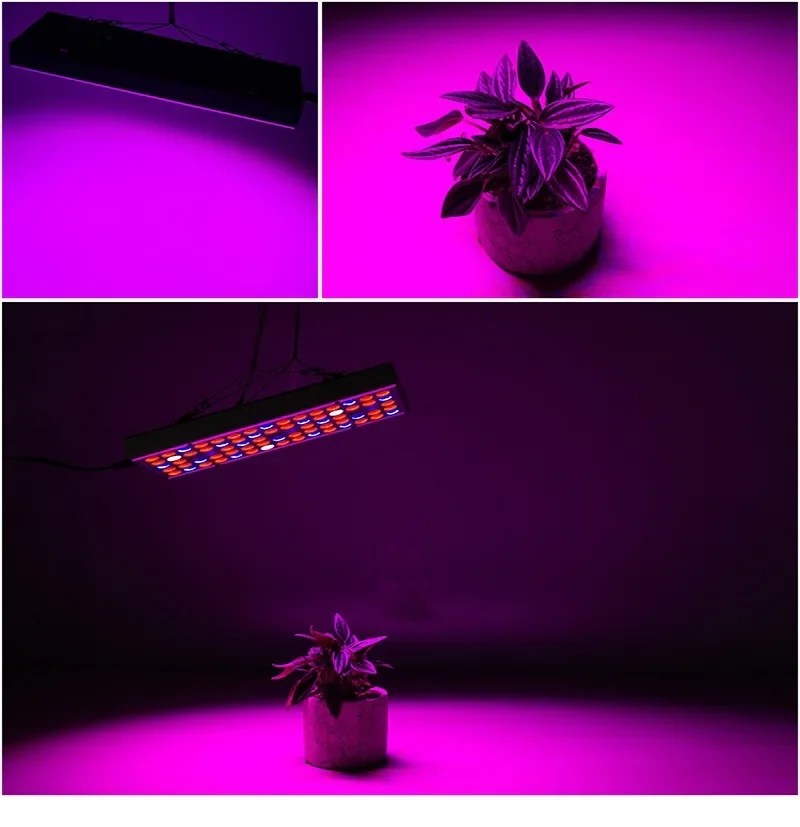Lampe LED pour plantes d'intérieur, éclairage complémentaire pour serre, culture hydroponique