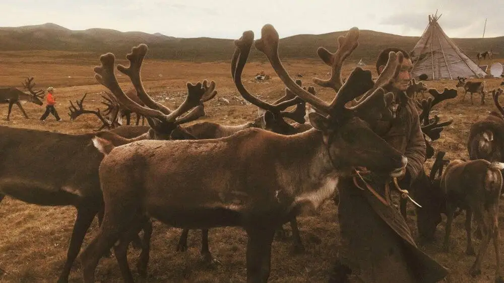 

RC Motor ESC High Speed Cooling Fan DIY Kit Cooling 21534 RPM for TRX4 TRX6 TRX UDR 85086-4 ARRMA Mojave EXB Axial 1/10 1/8 1/5