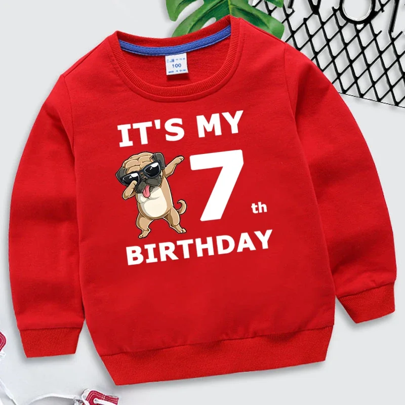 Funny Dogs Birthday Number 1-10 Kids Sweatshirts Children\'s Kawaii Pullover Cartoons Boy Girl Hoodies Birthday Party Red Hoodie