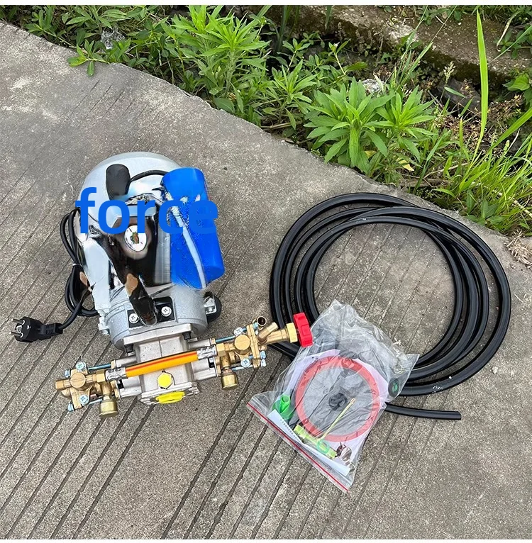Electric Sprayer Household Four-stroke Dual Cylinder Spraying Pump Agricultural