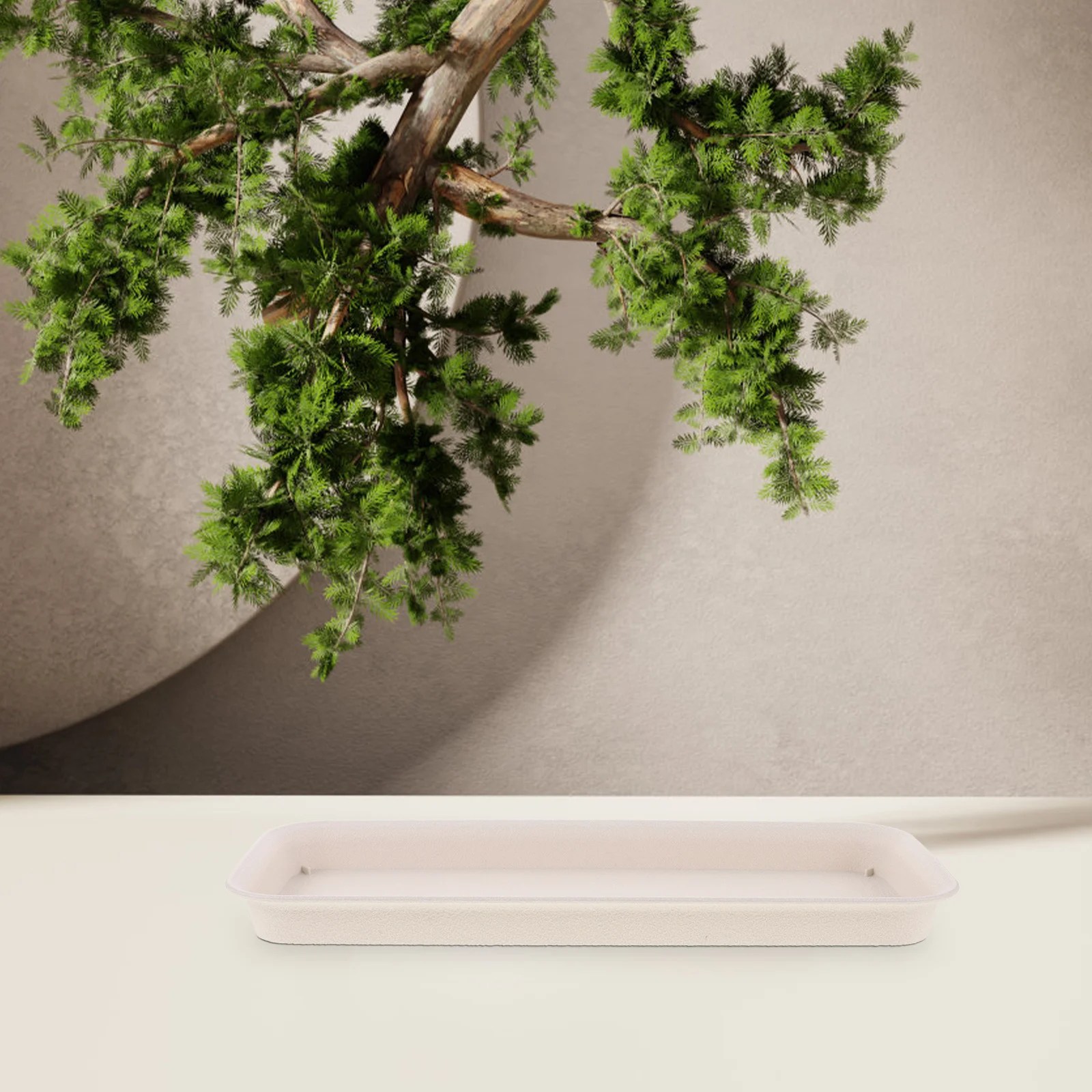

2pcs Plastic Plant Saucer Durable Water For Indoor Plants Flower Pot Base Leak Proof Garden Plants Tray Bonsai Pot Saucer