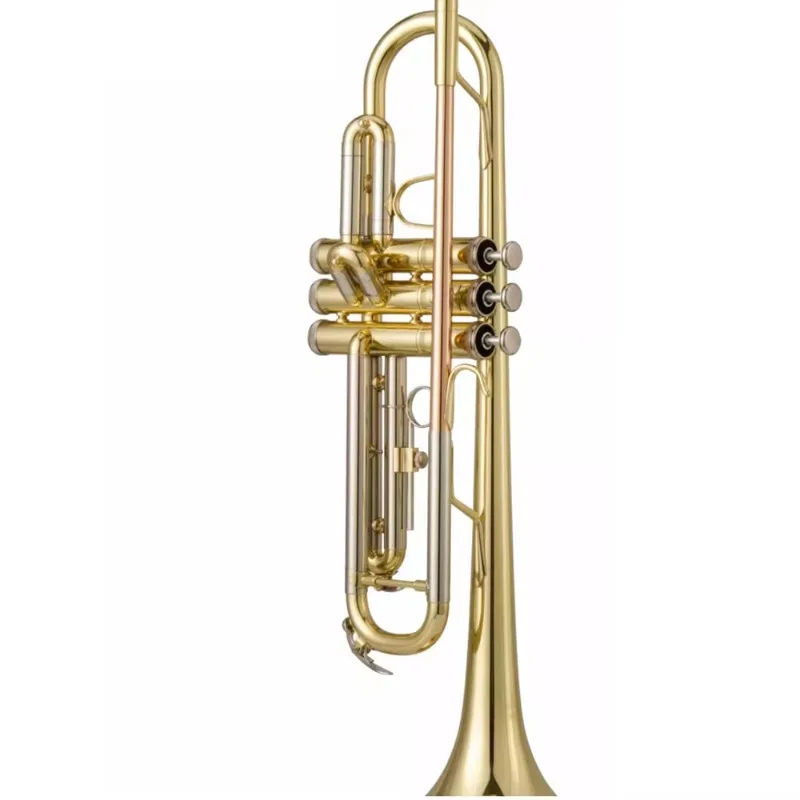 

Trumpet instrument jBTR-601 student beginner professional performance grade children's adult school wind with B flat