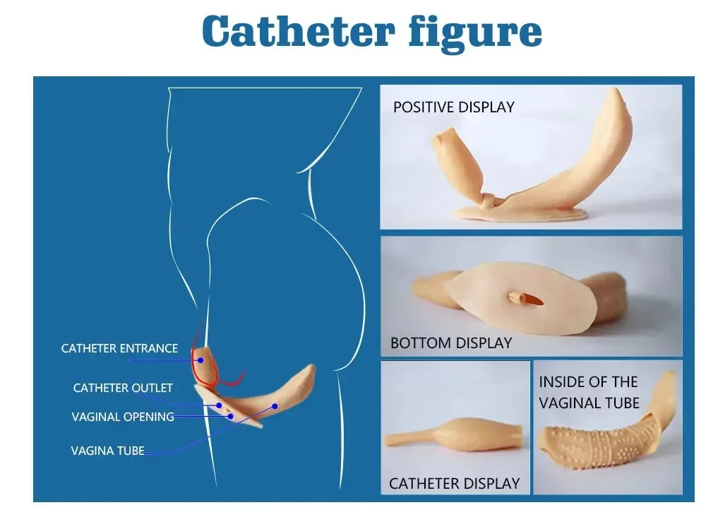 بدلة سيليكون وهمية الثدي كاملة ل تأثيري ، أشكال الثدي واقعية ، كروسدرسر المتحولين جنسيا ، ذكر إلى أنثى خنثى