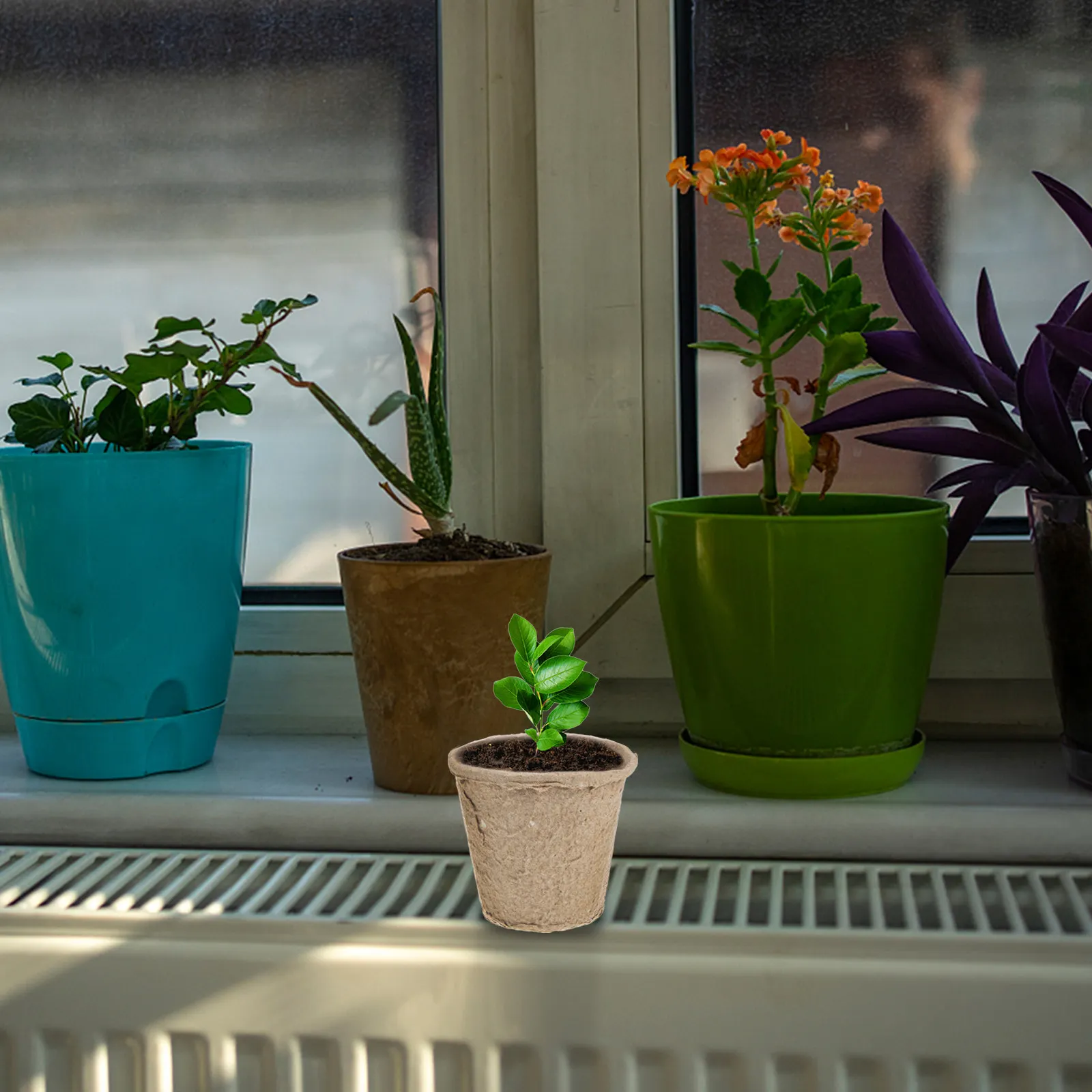 40Pcs Plant Nursery… - image