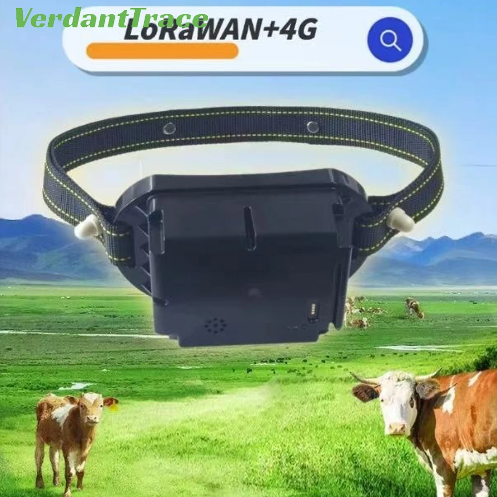 Verdanttrace 2G 4G/…