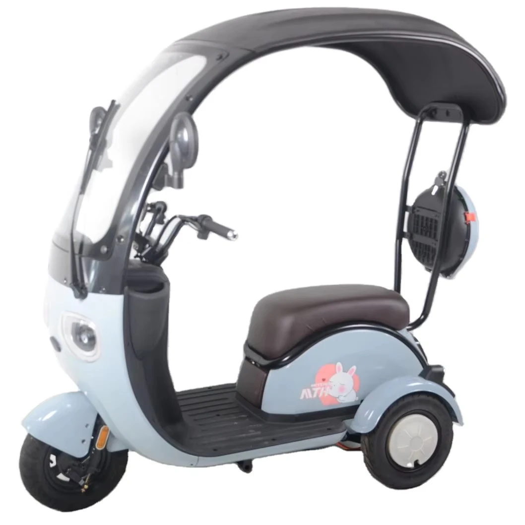 Covered Three-Wheel Electric Scooter with Roof Compact Electric Tricycle