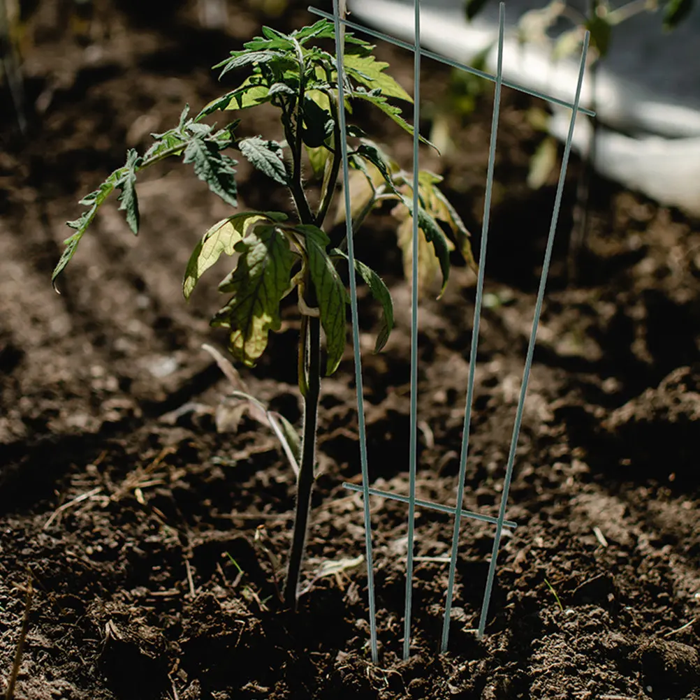 

2 шт. Устойчивые железные опоры для растений, креативный натуральный дизайн, садовая решетка для вьющихся растений, овощей, орхидей, для использования в помещении и на улице