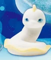 White ribbon eel