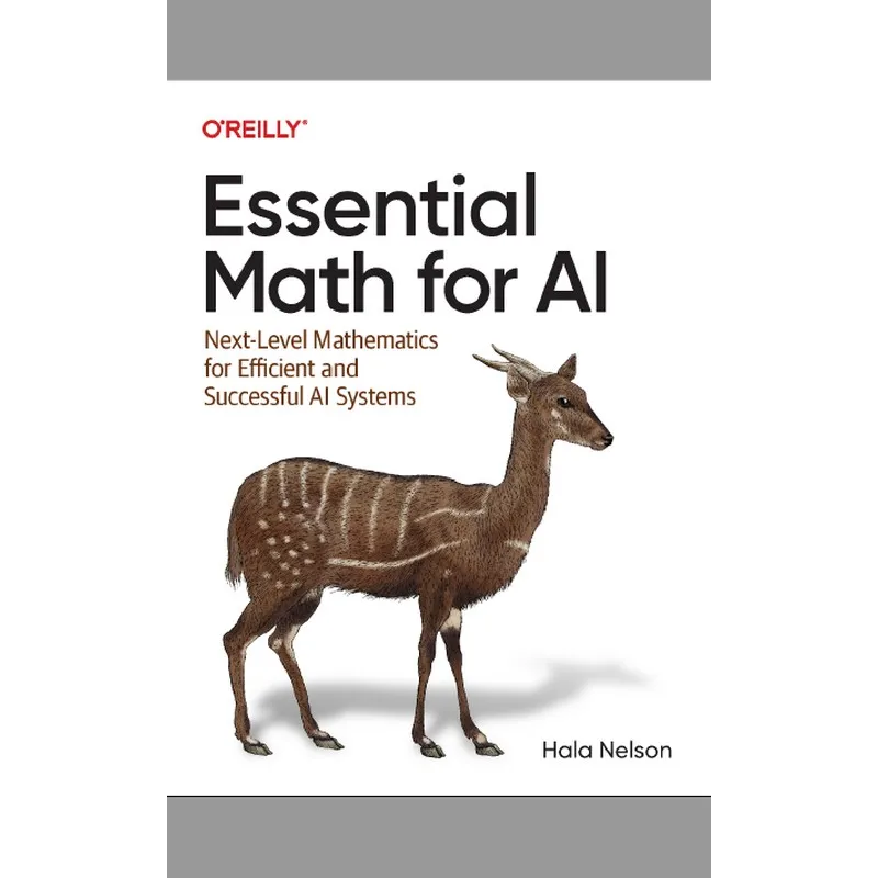 matematica essencial para ia proximo nivel matematica para sistemas al eficientes e bem sucedidos 01