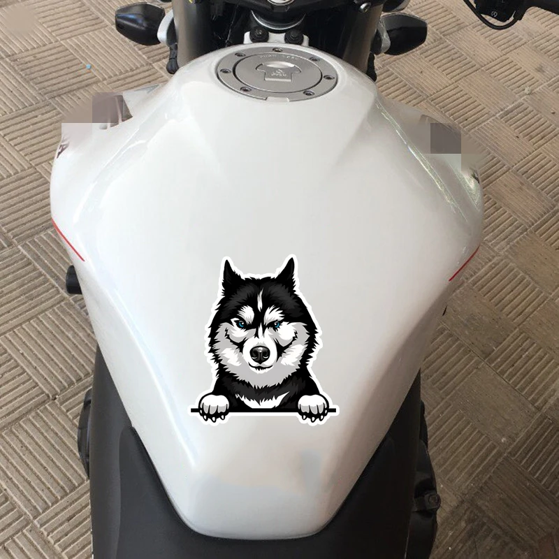 DK27#Cute Husky Car Stickers Waterproof Vinyl Decal For Truck Motorcycle Scooter  Auto Accessories