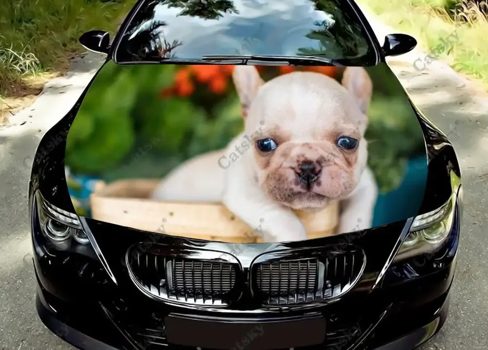 Animal French Bulldog Car Hood Vinyl Stickers Wrap Vinyl Film Engine Cover Decals Sticker Universal Car Hood Protective Film