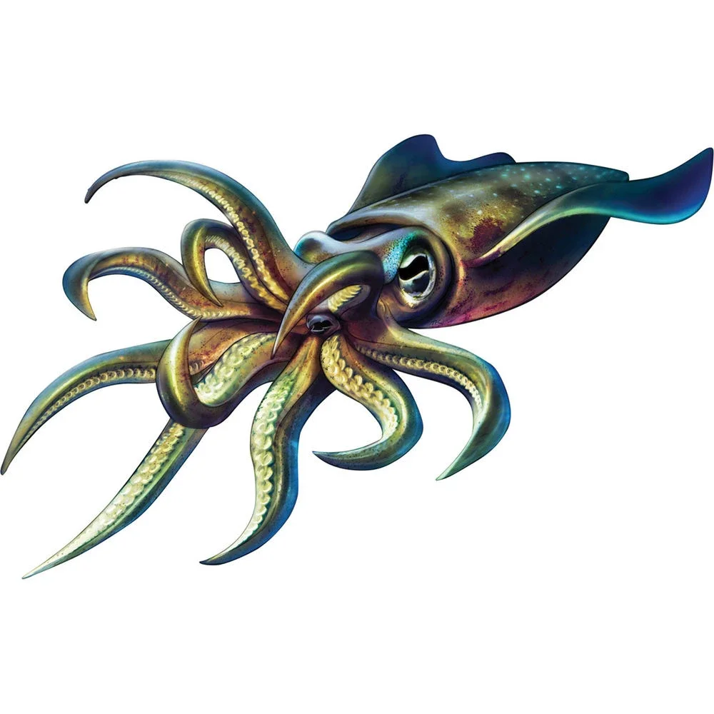 

Jpct Squid Fishing Waterproof Car Stickers Auto Parts Auto Supplies Cartoon Decoration Bumper Window Refrigerator PVC Stickers