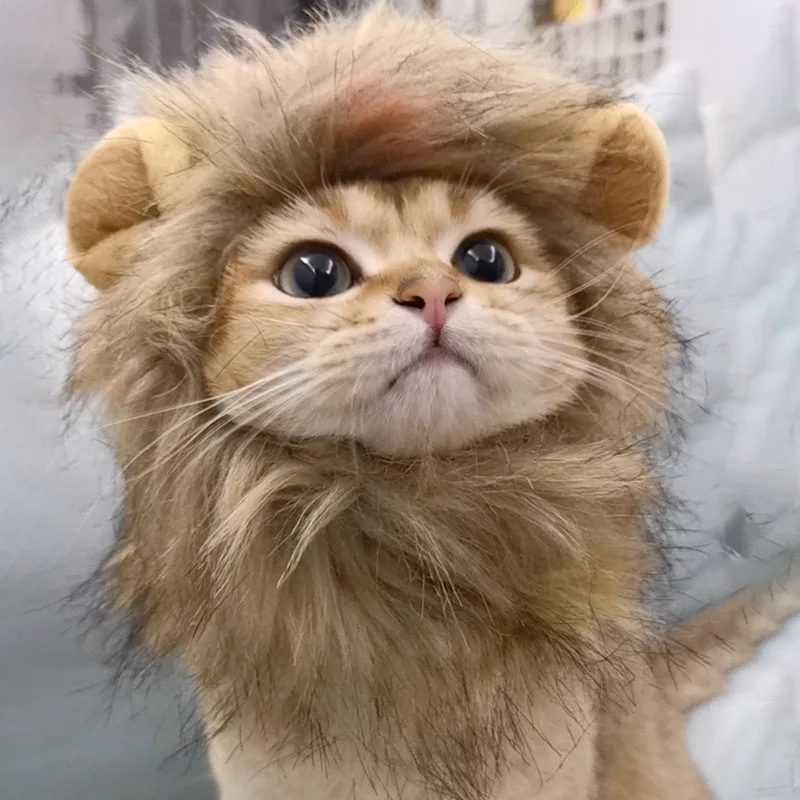 Cute Lion Mane Cat Wig Hat Funny Pets Clothes Cap Fancy Party Dogs Cosplay Costume Kitten Hat with Ears Accessories Cat Costume