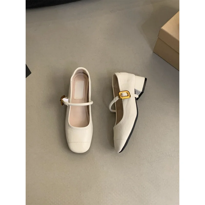 أحذية كعب خشن على الطراز الفرنسي للسهرات للنساء، أحذية جلدية جديدة لخريف 2025، أحذية ماري جين بكعب متوسط عتيق #6