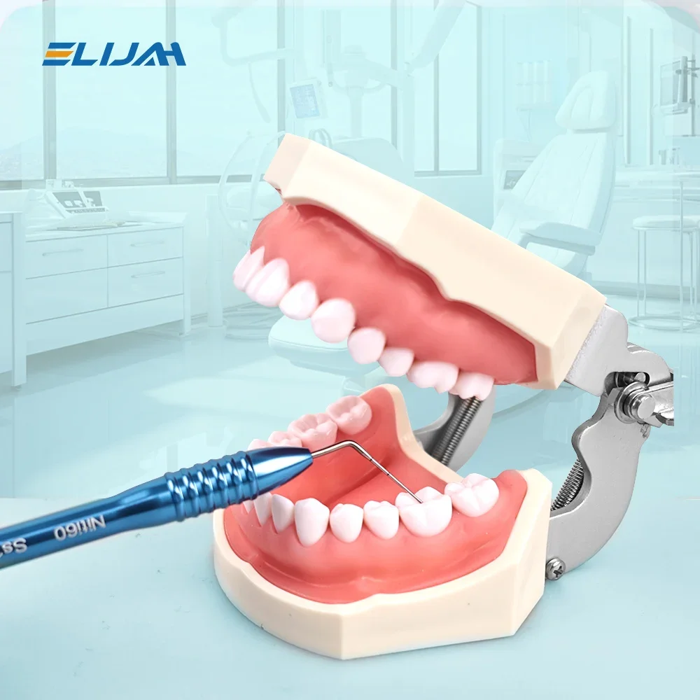 Dental Endodontic Hand Plugger Dental Gutta Percha Filler Oral Root Canal Filler Endo Hand Plugger Vertical Pressure Instrument