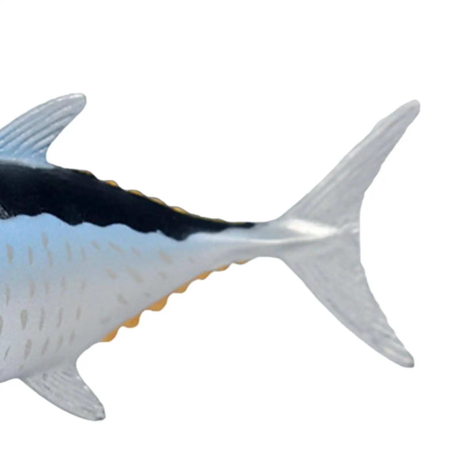 

Simulation Marine Animal Model Toy Plastic Educational Shapes Toys Fish Figurines for Kids Bath Gift