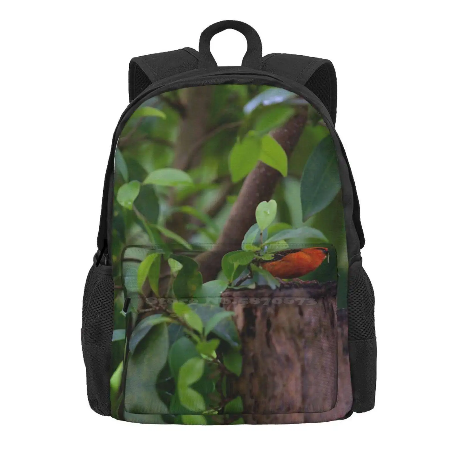 Laptop Travel School Bags for Teens, Red Bird in the Forest, Selva Animais, Descobrir a Natureza, Cores, Verde, Mulheres, Homens