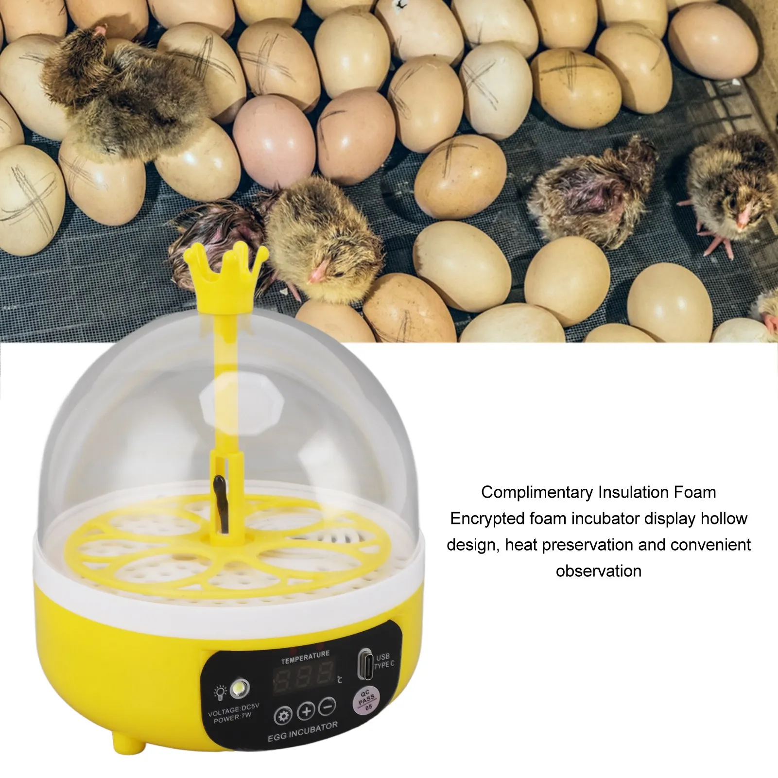 Egg Incubator Automatic Temperature Humidity Control Portable Transparent Lid Poultry Hatching Machine for School
