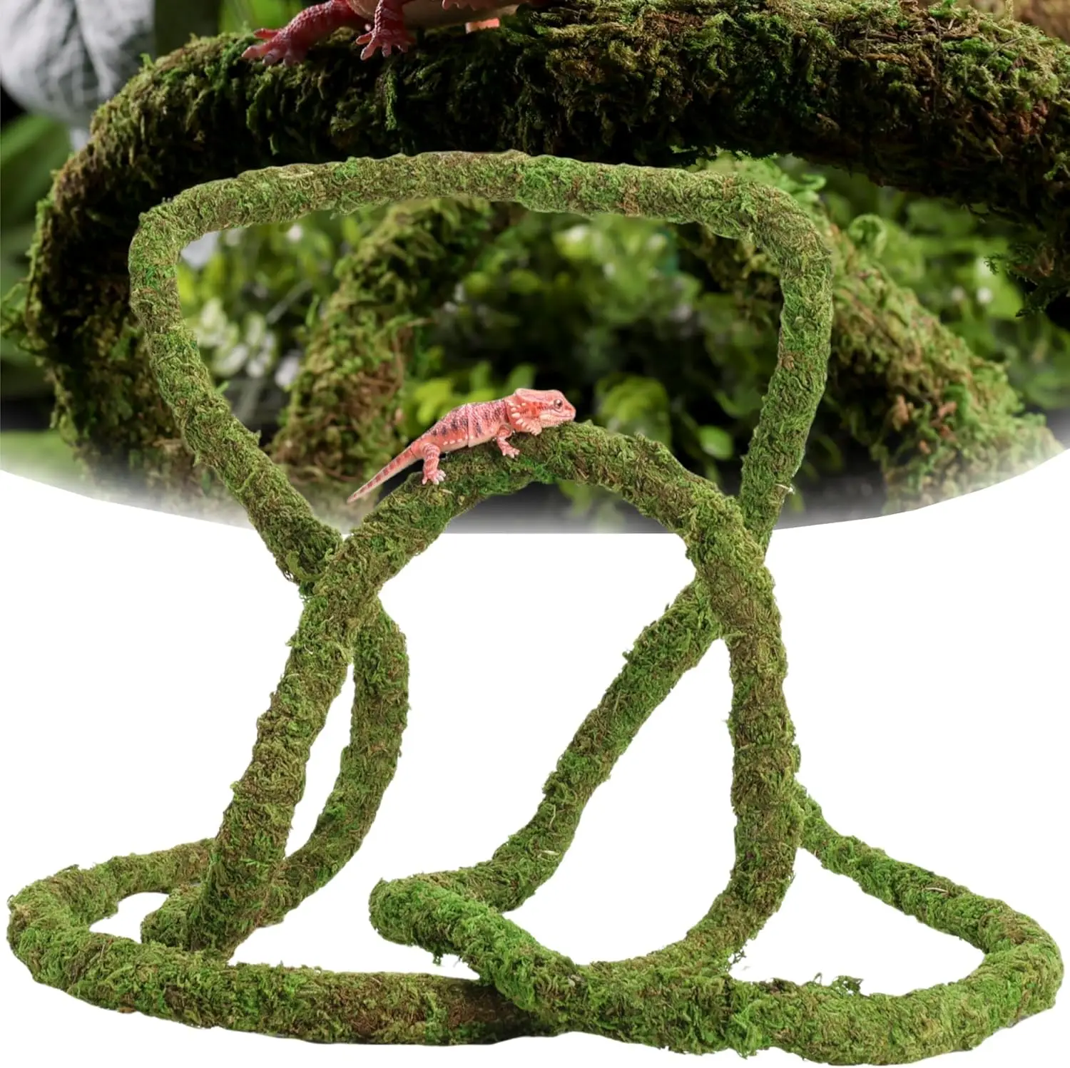 

Bendable Climbing Vines for Reptile Tanks,Natural Moss Rope Accessories for Leopard Gecko, Lizard,Chameleon,Frog Terrarium Decor