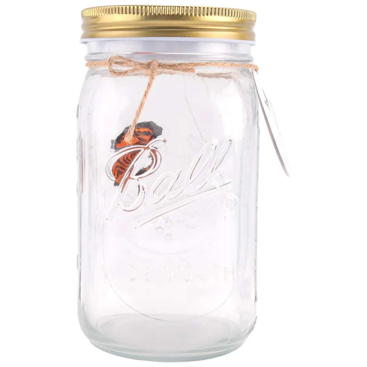 

Simulation Butterfly Collection in a Jar, Butterfly Jar That Moves, LED Light Romantic Glass Animated Butterfly