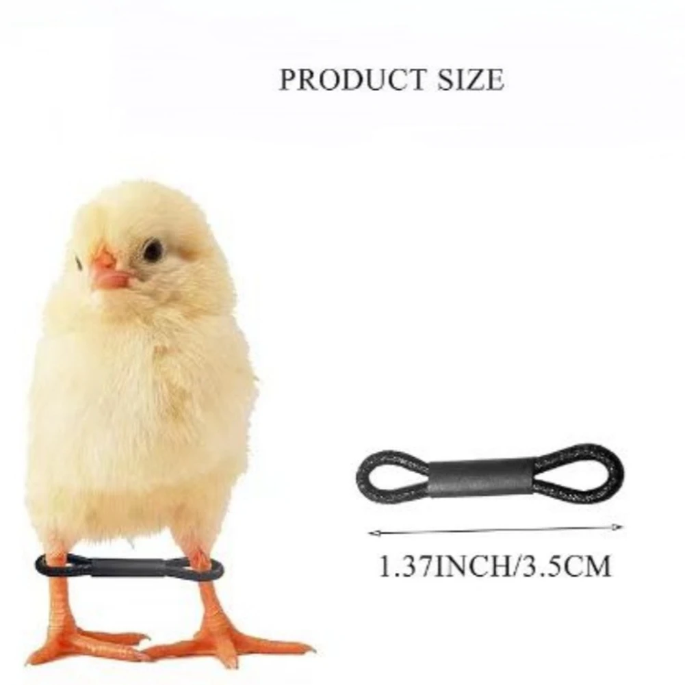 LDHL 100PCS Baby Chicken Splay Leg Hobble Brace Adjustable Poultry Leg Bands for Newborn Spraddle Leg Chick Bird Quails Ducks