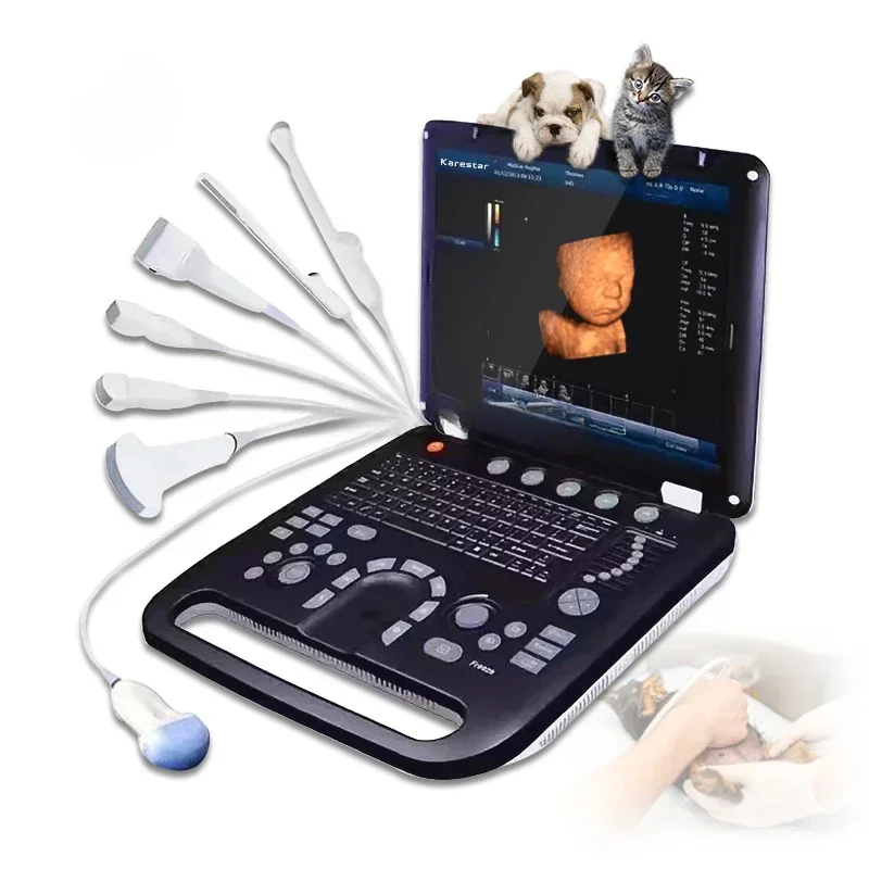 

Animal Medical Ultrasound Instrument Color Doppler