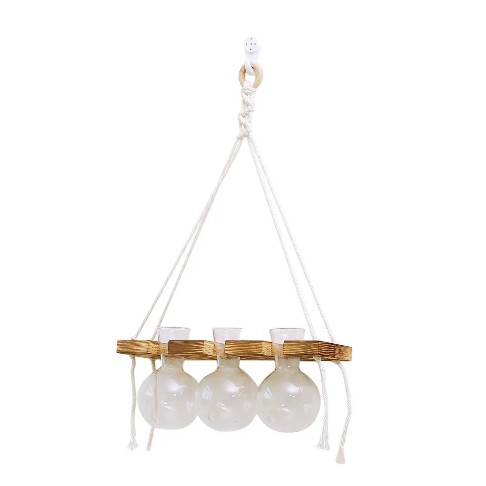Wall Hanging Planter Propagation Station Modern Wooden Frame Stand for