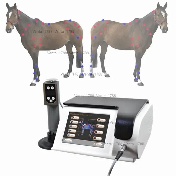 

High quality veterinary use portable eswt extracorporal equine shockwave machine for horses and animals