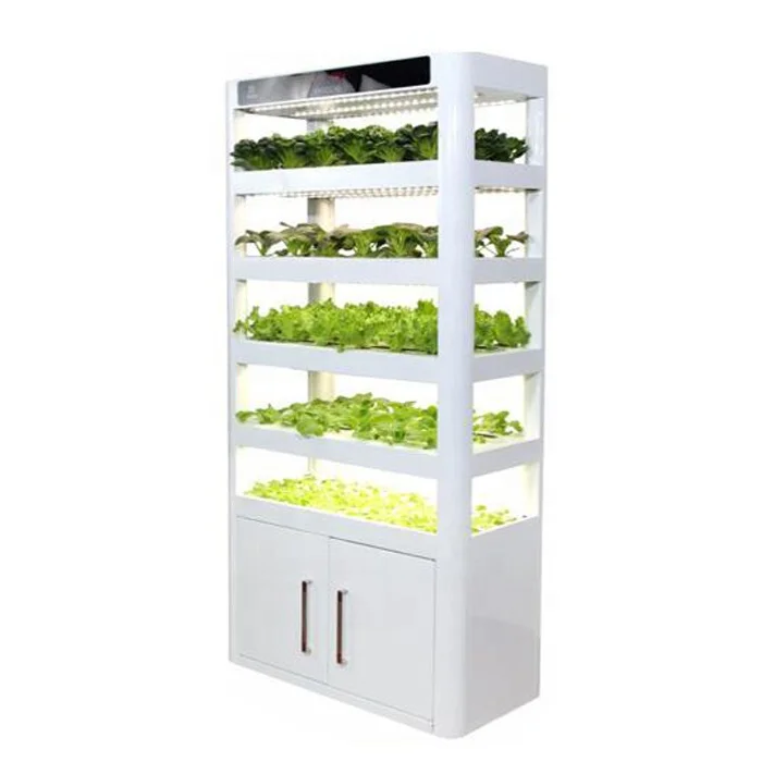 Vertical Hydroponics System Vegetable Grow Agricultural Greenhouses Indoor Hydroponics Planter