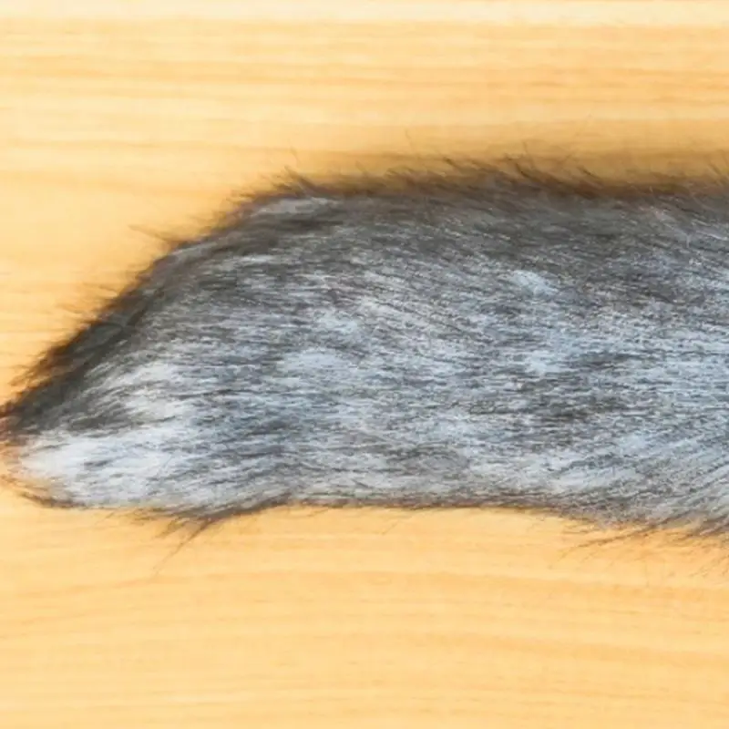 652F Coda volpe, pelliccia sintetica Lupo Volpi Coda gatto Costume cosplay Halloween