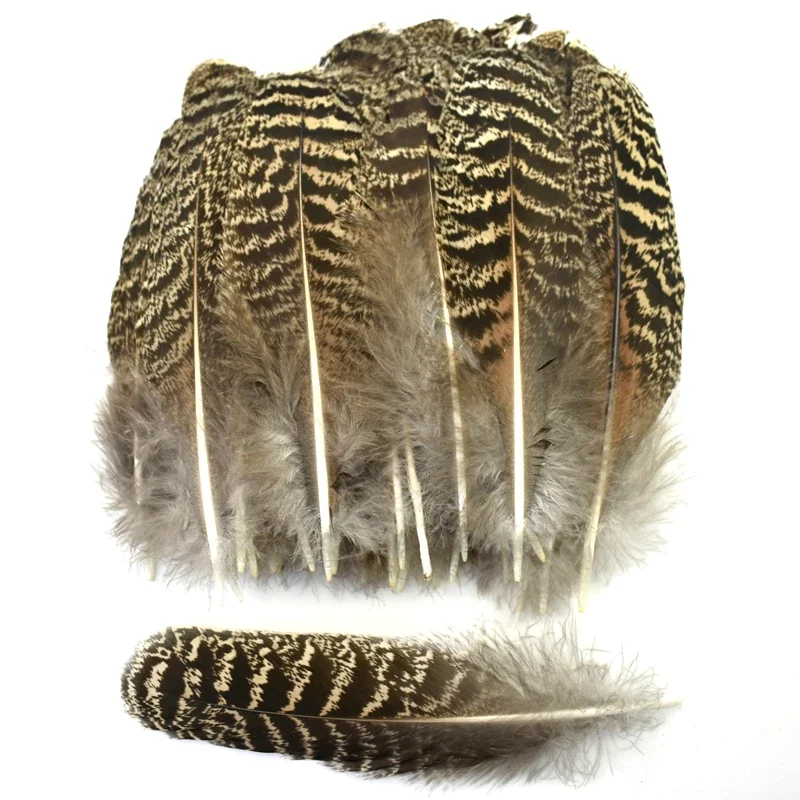 10Pcs Natural Peacock Bird Feathers Decoration Eagle Small Pheasant Feather Crafts Decor Hats Carnival Wedding Jewelry Creation – Detail 3