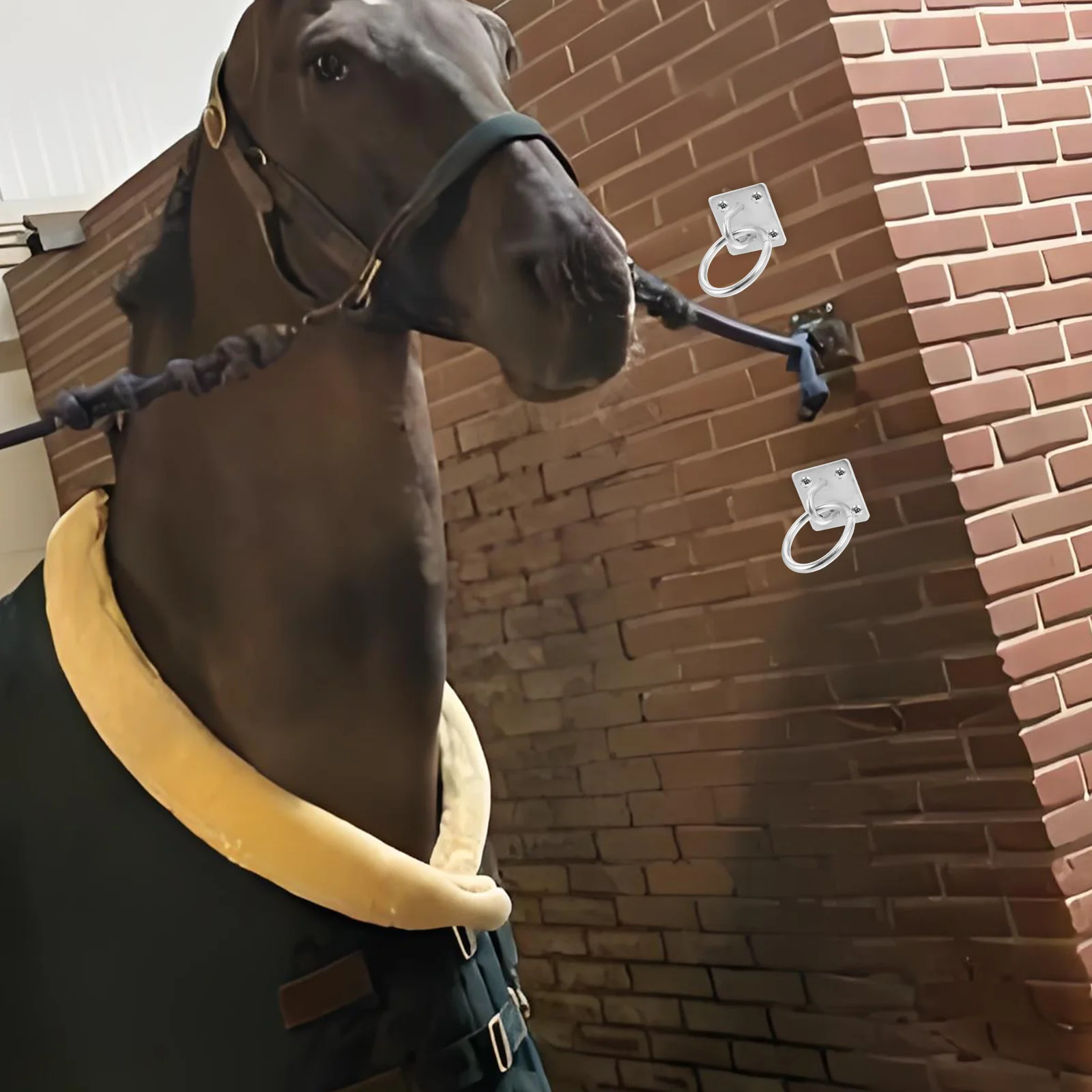 

Heavy Duty Cross Tie For Horse Stall Stable Block Tie Ring Hitching Ring Hook Wall Mount Antislip Adjustable Multifunctional For