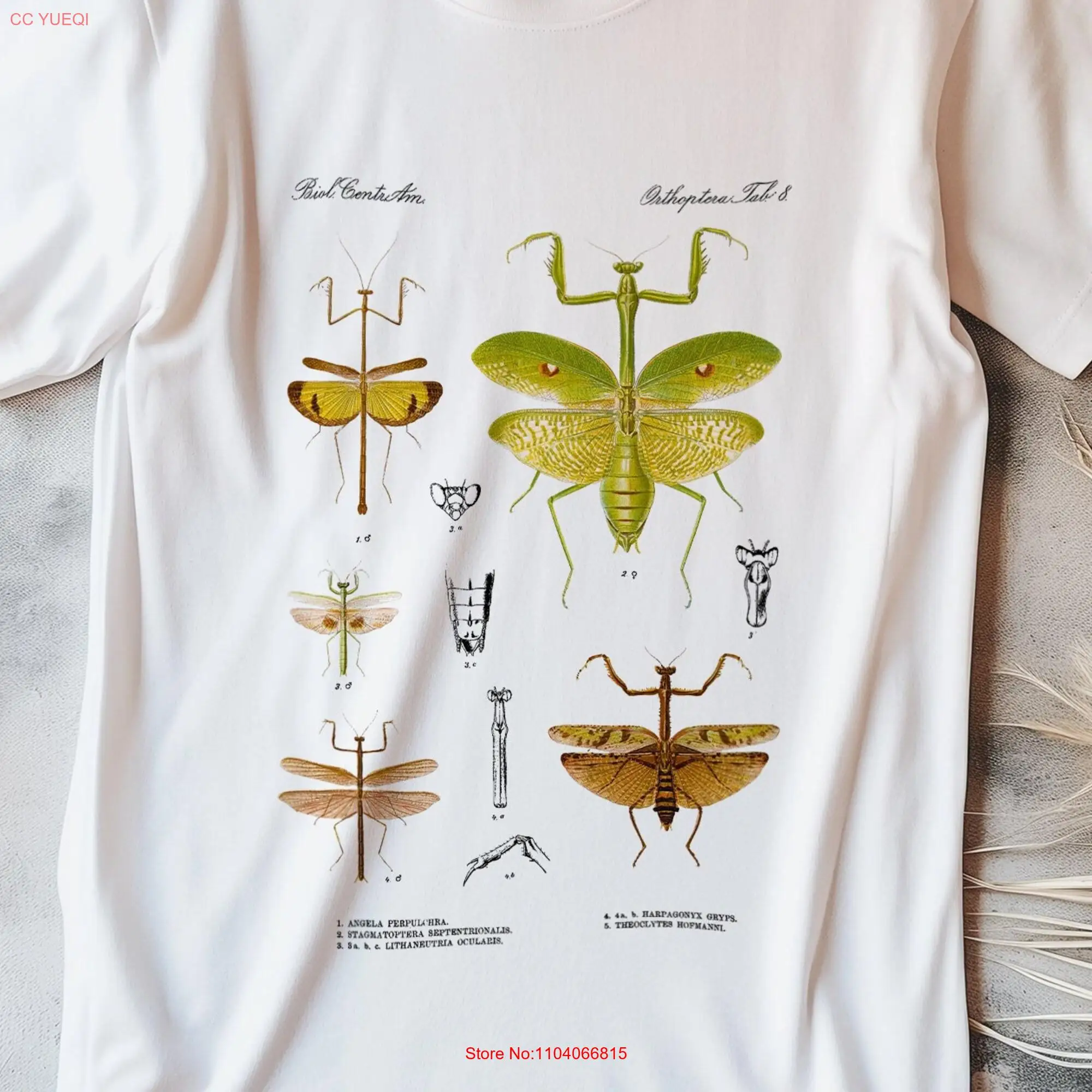 Mantids 1 T Shirt Adult Organic Cotton Remastered Vintage Zoology Art Oversized Print long or short sleeves