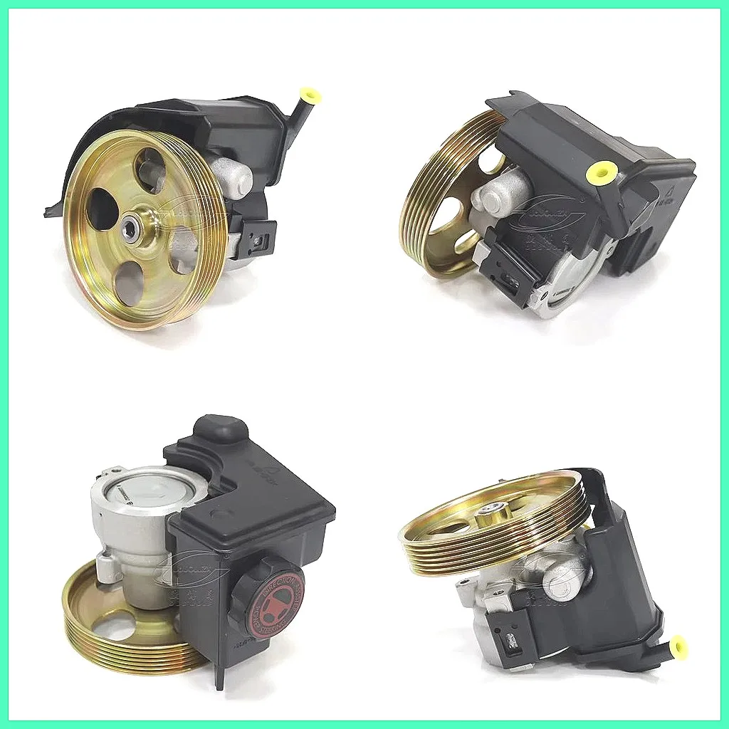 

Высококачественный насос гидроусилителя руля для PEUGEOT Citroen 206 4007-YT 206-408-SJ 1.9L